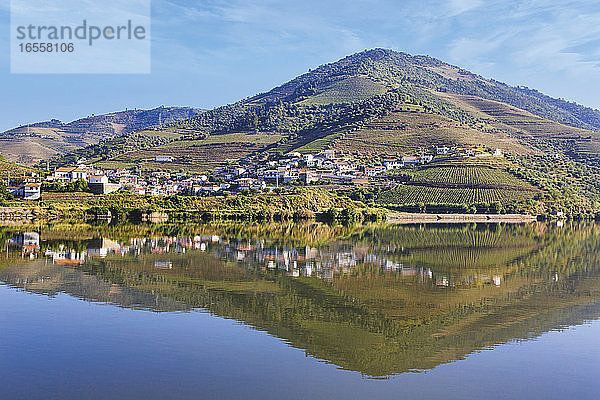 Covelinhas  Bezirk Vila Real  Portugal. Weinberge entlang des Douro-Flusses zwischen Paso da Regua und Pinhao im Bezirk Viseu oder am Südufer des Flusses. Die Region Alto Douro WIne gehört zum UNESCO-Welterbe.