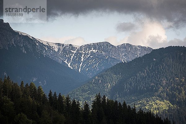 Karpaten von Bran aus gesehen  Siebenbürgen  Rumänien