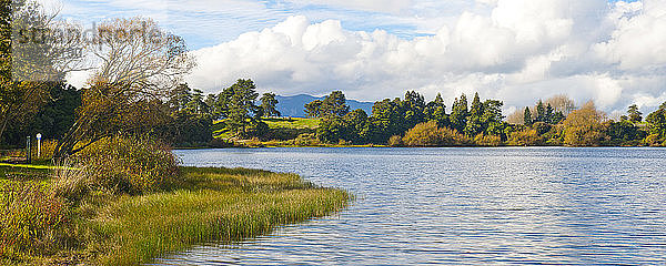 Panoramafoto eines wunderschönen Sees in der Waikato-Region bei Taupo  Nordinsel  Neuseeland