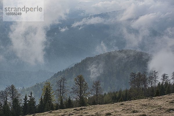 Neblige Landschaft in den Parang-Bergen bei Ranca  Karpaten  Region Oltenia  Rumänien