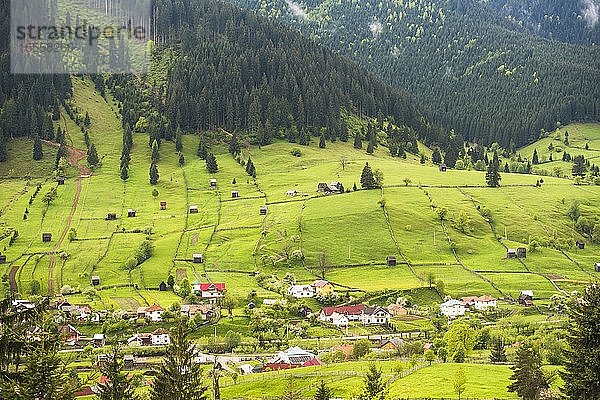 Hügelige  ländliche Landschaft in der Bukowina  bei Sadova  Rumänien