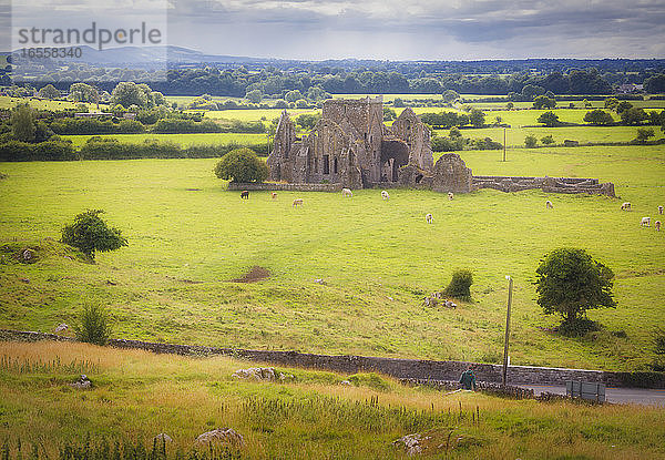 Cashel  Grafschaft Tipperary  Republik Irland. Ruinen der Zisterzienserabtei Hore Abbey alias Hoare Abbey oder St. Mary's.