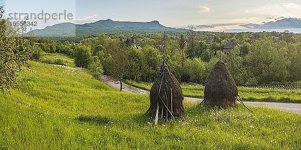 Traditionelle rumänische Heuhaufen in der Landschaft um Breb (Brebre)  Maramures  Rumänien