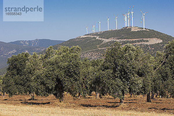 in der Nähe von Didim  Provinz Aydin  Türkei. Windgeneratoren.