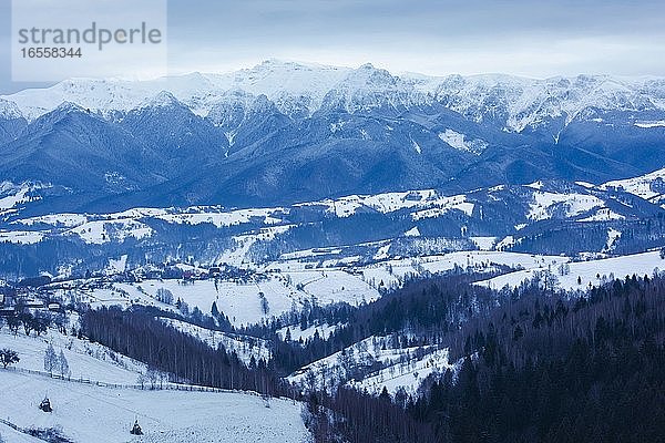 Verschneite Winterlandschaft in den Karpaten  Pestera  Bran  Siebenbürgen  Rumänien