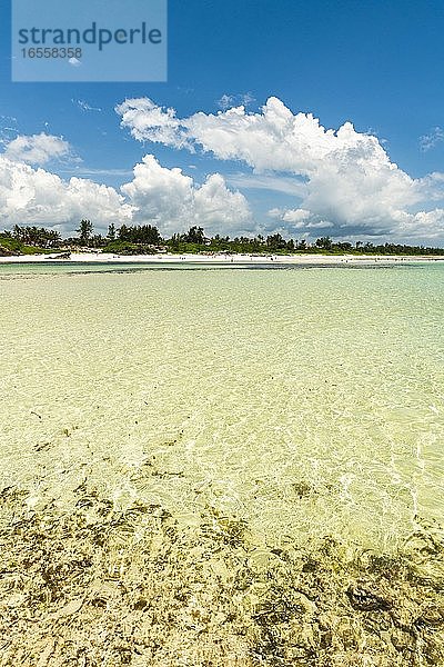 Watamu Bay Beach und das türkisfarbene Wasser des Indischen Ozeans  Watamu  Kilifi County  Kenia