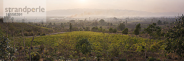 Red Mountain Estate Vineyards and Winery   Inle-See  in der Nähe von Nyaungshwe  Shan-Staat  Myanmar (Birma)