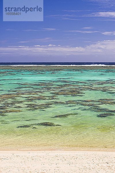 Tropischer weißer Sandstrand  perfektes klares türkisblaues Wasser und klarer blauer Himmel auf einer paradiesischen Insel im Pazifischen Ozean in der Region Muri auf Rarotonga  Cookinseln