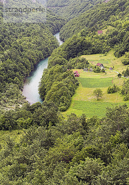 Montenegro. Durmitor-Nationalpark. Der Tara-Fluss und die Tara-Schlucht  fotografiert von der Tara-Brücke aus. Der Park gehört zum UNESCO-Welterbe.