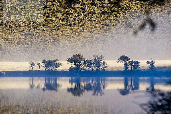 Neblige Morgendämmerung auf einem ruhigen Lake Moke  Queenstown  Südinsel  Neuseeland. Der Lake Moke  10 km von Queenstown entfernt  ist nicht nur ein wunderschöner See  sondern auch ein Campingplatz des Department of Conservation (DOC)  der sowohl für Wohnwagen als auch für Wohnmobile zugänglich ist. In den frühen Morgenstunden ist der Lake Moke oft vollkommen still und bietet perfekte Spiegelungen der umliegenden Hügel und Berge im Wasser. Die Kombination aus einer fabelhaften goldenen Stunde  wenn die Sonne über den Hügeln aufgeht  dem Morgennebel  der vom See aufsteigt  und den satt orangefarbenen Herbstbäumen machte diese Nacht auf dem Lake Moke Department of Conservation Campsite (DOC-Campingplatz) zu etwas ganz Besonderem.
