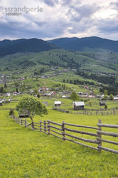 Landschaft der Bukowina (Bucovina) bei Sonnenuntergang  Paltinu  Rumänien