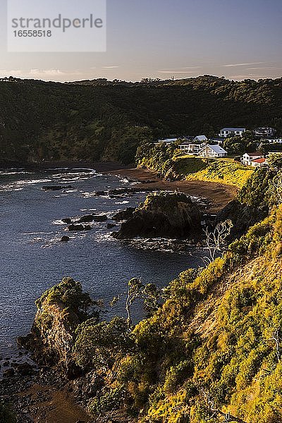 Tapeka Point bei Sonnenaufgang  Russell  Bay of Islands  Region Northland  Nordinsel  Neuseeland