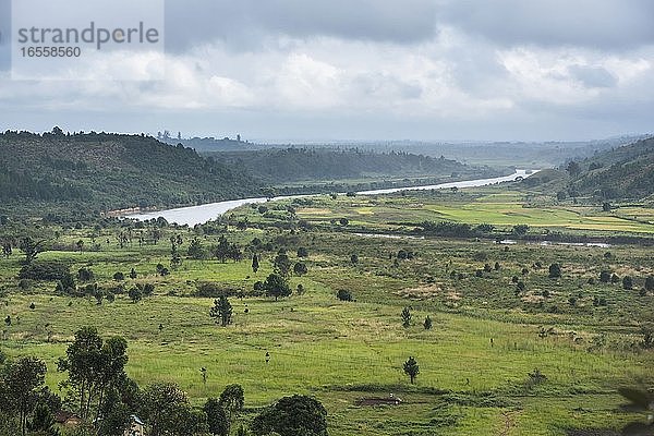 Reisfeldlandschaft in der Nähe von Antananarivo  Provinz Antananarivo  Ost-Madagaskar