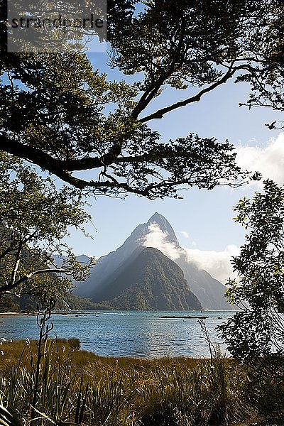 Mitre Peak durch die Bäume gesehen am Milford Sound  Fiordland  Südinsel  Neuseeland. Der Mitre Peak ist eine der beliebtesten Sehenswürdigkeiten am Milford Sound und erhebt sich 1692 m über dem Wasser.