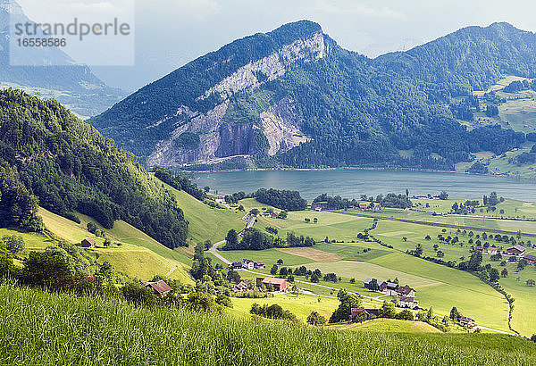 in der Nähe von Seewen  Kanton Schwyz  Schweiz. Typische Landschaft  die zum Lauerzersee hinunterführt.