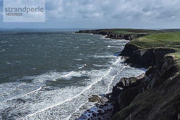 Pembrokeshire Coast National Park  gesehen in der Nähe von Marloes und St Brides  Wales  Vereinigtes Königreich