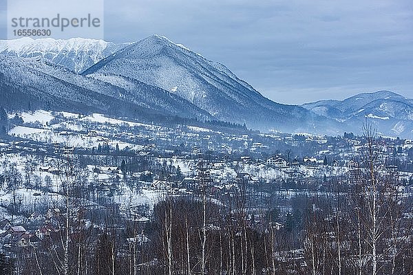 Winterlandschaft in den Karpaten  Bran  Siebenbürgen  Rumänien