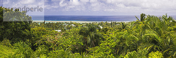 Tropischer Palmen-Dschungel mit blauem Pazifischen Ozean im Hintergrund  auf Rarotonga  Cook-Inseln  Südpazifik