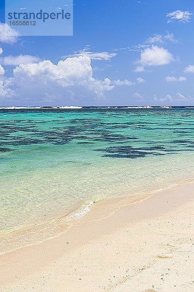 Tropischer weißer Sandstrand  perfektes klares türkisblaues Wasser und klarer blauer Himmel auf einer paradiesischen Insel im Pazifischen Ozean in der Region Muri auf Rarotonga  Cookinseln