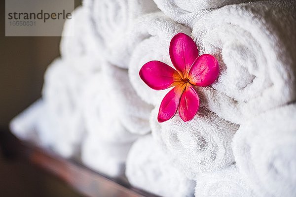 Detail von Handtüchern und rosa Blumen in einem luxuriösen Day Spa  einem perfekten Ort zum Entspannen