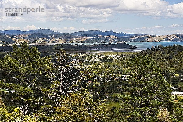 Küste in der Nähe von Coromandel Town  Coromandel Peninsula  Neuseeland Nordinsel