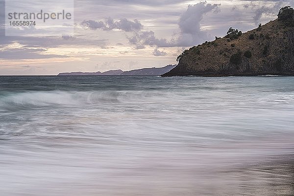 New Chums Beach  Coromandel-Halbinsel  Neuseeland Nordinsel