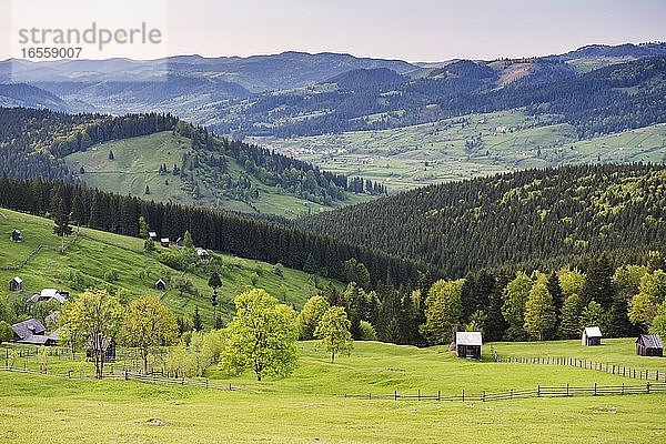 Landschaft der Region Bukowina (Bucovina) bei Paltinu in Rumänien