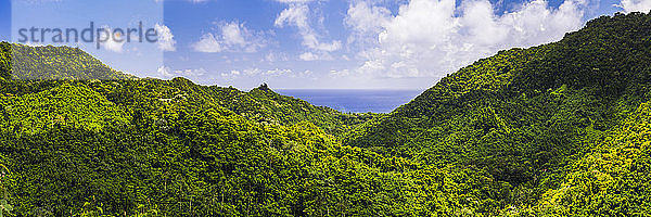 Inneres Rarotonga  Cookinseln