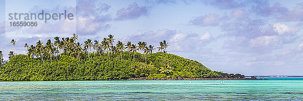 Tropische Insel mit Palmen über dem perfekten blauen Wasser des Pazifischen Ozeans in der Muri Lagoon  Rarotonga  Cook Inseln