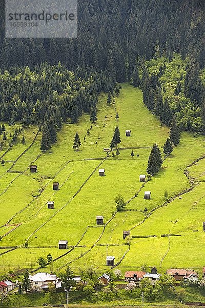 Ländliche Landschaft in der Region Bukowina  Sadova  Rumänien