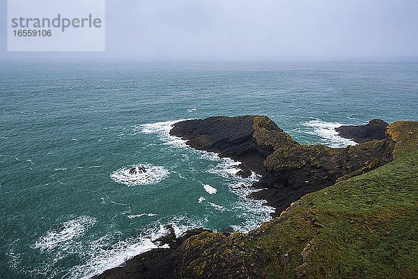 Garland Stone  Insel Skomer  Pembrokeshire Coast National Park  Wales  Vereinigtes Königreich