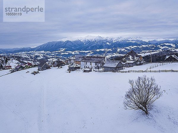Verschneite Winterlandschaft in den Karpaten  Bran  Siebenbürgen  Rumänien Drohne
