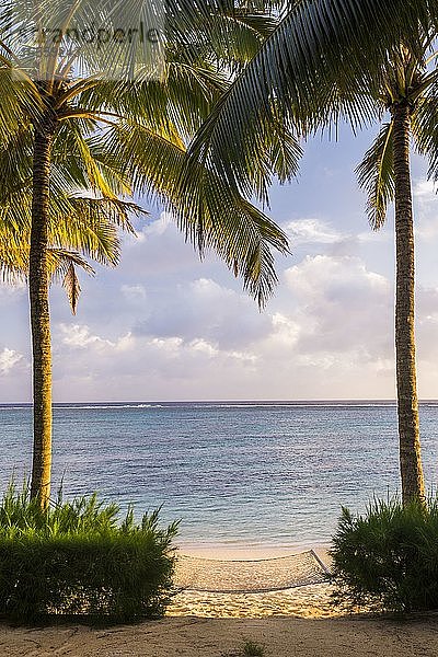 Hängematte zum Entspannen im Sommerurlaub unter Palmen am weißen Sandstrand auf der tropischen Insel Rarotonga  Cook Islands  Südpazifik