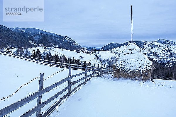 Heuschober-Winterlandschaft in den Karpaten bei Bran  Siebenbürgen  Rumänien