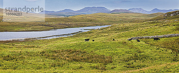 Ländliche Szene in der Nähe von Clifden  Connemara  Grafschaft Galway  Republik Irland. Eire.