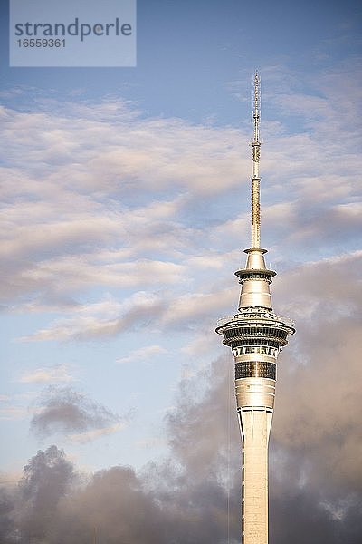 Auckland Sky Tower  Neuseeland Nordinsel