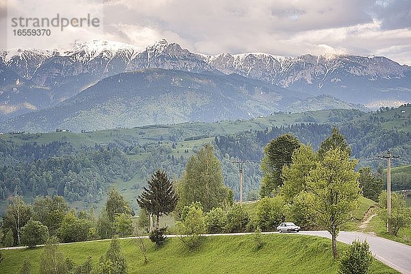 Schneebedeckte Karpaten in der Nähe von Schloss Bran bei Pestera  Siebenbürgen  Rumänien