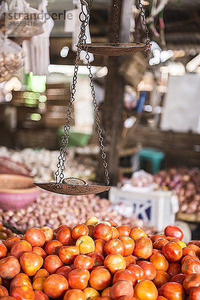 Tomaten zum Verkauf auf dem Markt von Hsipaw (Thibaw)  Shan-Staat  Myanmar (Birma)
