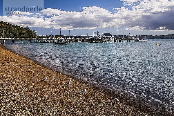 Russell Beach und Pier  Bay of Islands  Region Northland  Nordinsel  Neuseeland