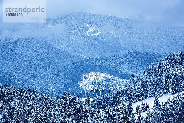 Winterlandschaft bei Bran in den Karpaten  Siebenbürgen  Rumänien
