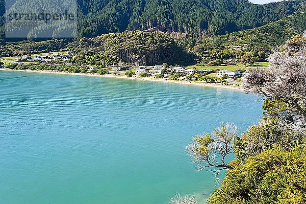 Türkisfarbenes Wasser am Tata Beach  Golden Bay  Südinsel  Neuseeland. Tata Beach ist ein atemberaubender Strand in der Region Golden Bay auf der Südinsel Neuseelands. Der goldene Sand und das türkisblaue Wasser machen ihn zu einem wahrhaft schönen Strand  den man besuchen sollte.