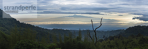 Der Gipfel des Mount Kenya (5199 m)  gesehen vom Aberdare National Park  Kenia