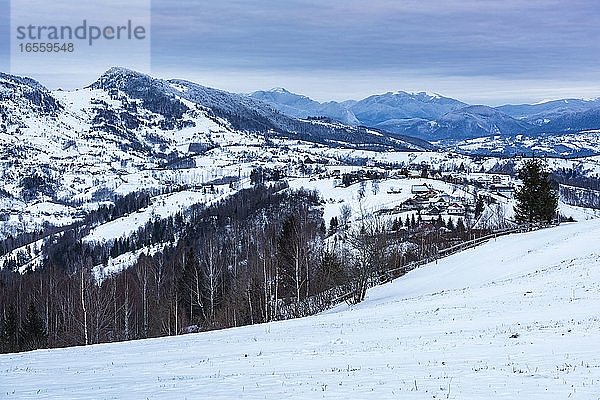 Verschneite Winterlandschaft in den Karpaten  Pestera  Bran  Siebenbürgen  Rumänien