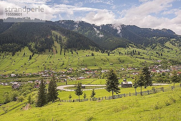 Hügelige  ländliche Landschaft in der Bukowina  bei Sadova  Rumänien