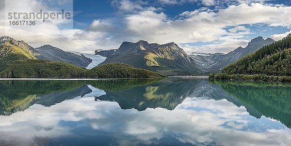 Svartison Gletscher mit Gletscherzunge  bewaldete Bergkette spiegelt sich in ruhigem Fjord  Meløy  Nordland  Norwegen  Europa