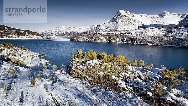 Winterliche Fjordlandschaft  verschneite Berge  arktische Vegetation  Gildeskål  Nordland  Norwegen  Europa
