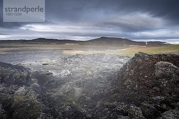 Schwarze erstarrte Lava in grüner Ebene mit Dampf  Leihrnjukur in der Krafla  Krafla Lavafeld  Skútustaðir  Norðurland eystra  Island  Europa