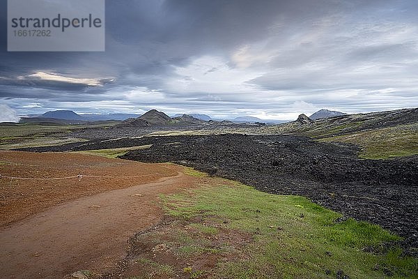 Krafla Lavafeld  Skútustaðir  Norðurland eystra  Island  Europa
