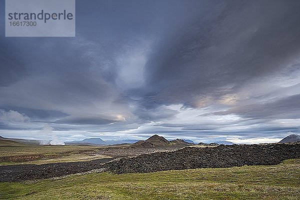 Krafla Lavafeld  Skútustaðir  Norðurland eystra  Island  Europa