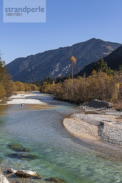 Natürliches Flussbett der oberen Isar vor dem Sylvensteinstausee  Wildflusslandschaft Isartal  Lengries  Bayern  Deutschland  Europa